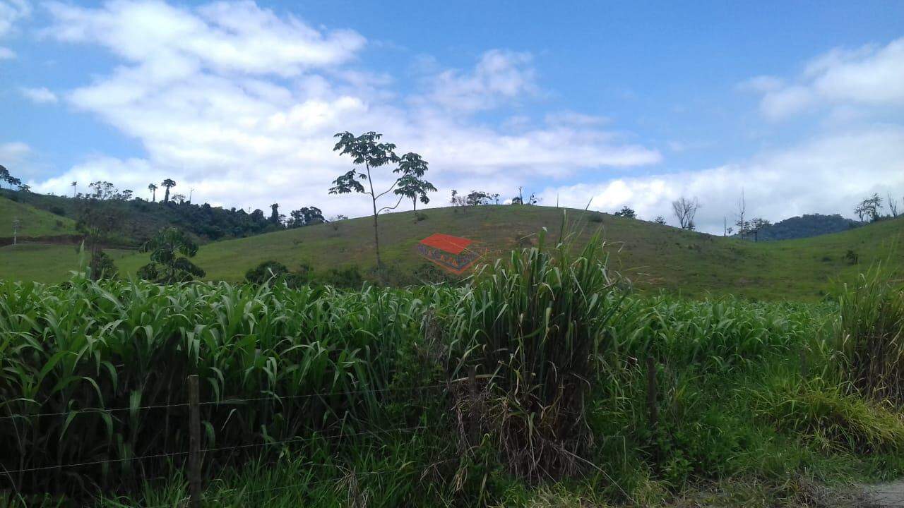 Chácara à venda com 1 quarto, 3500m² - Foto 5